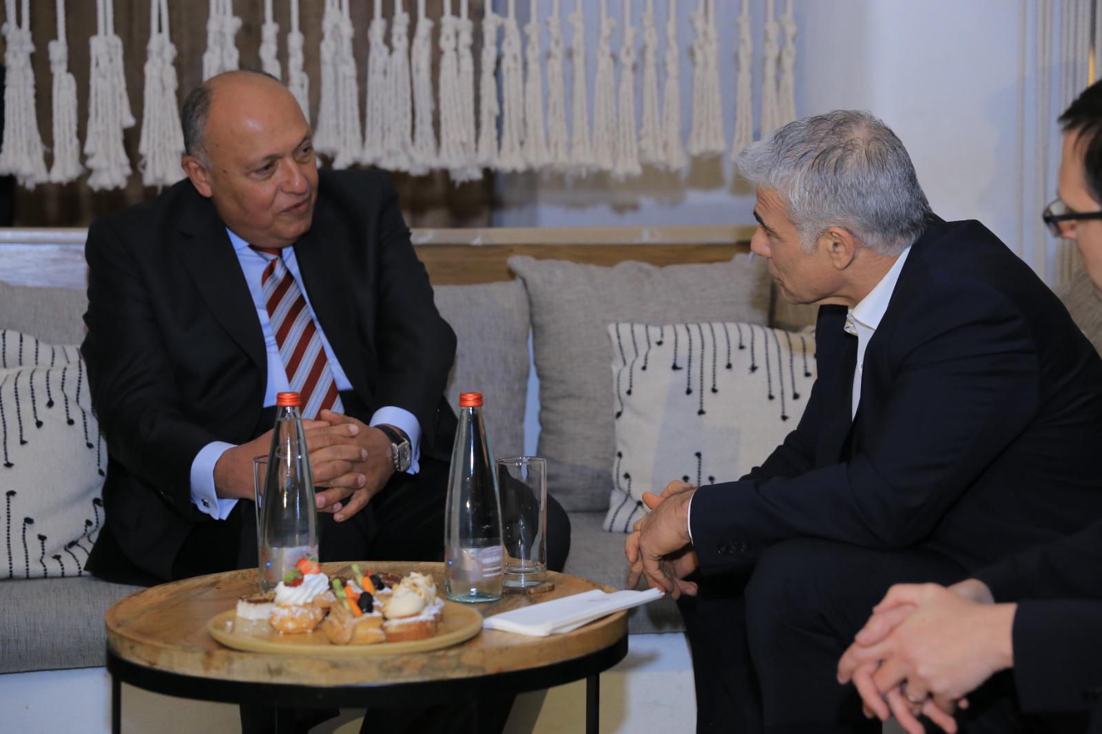 שרי החוץ של ישראל ומצרים (צילום: בועז אופנהיים, לע״מ. אסי אפרתי, לע״מ)